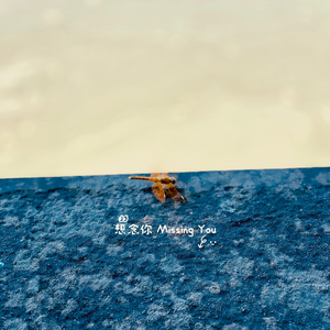想念你missing you 伴奏