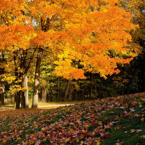 无穷的力量 伴奏