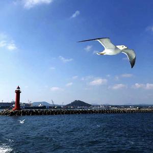 【FREE】lucky(rmx）