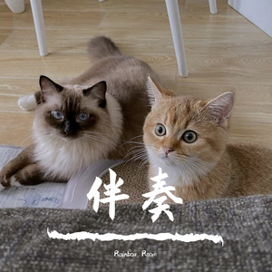 其实我都知道 伴奏