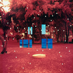 Lágrimas de cocodrilo