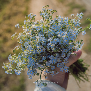 오늘도 당신을 응원해요