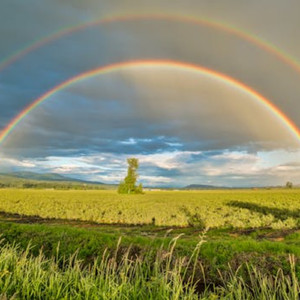 晨曦物语（酒店大厅钢琴曲）