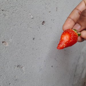 Syashelela (Instrumental Version)