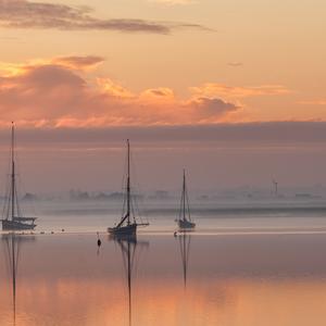 曾经在幽幽暗暗反反复复中追问
