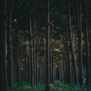 Calm Hush in Stillness