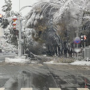 让你等太久的人最后都不会选你