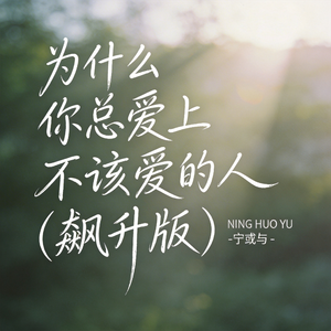 为什么你总爱上不该爱的人（飙升版）