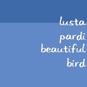 Beautiful Bird