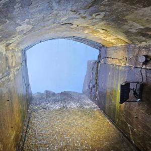 another year (lifetime) without you