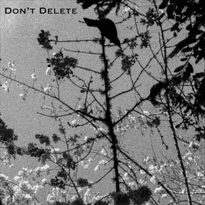 Don't Delete
