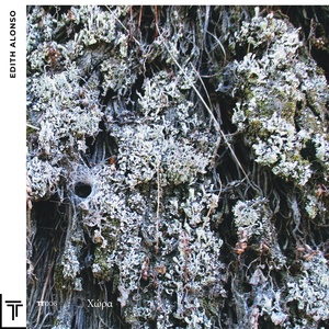 Se Ha Quebrado el Sol