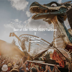 Best of EDM TECHNO 2025 The Crazy X