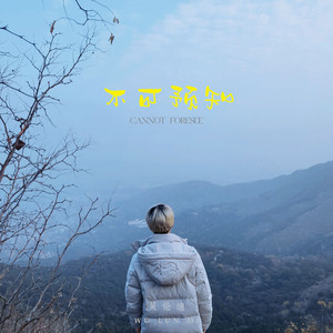 有一个人爱一个人