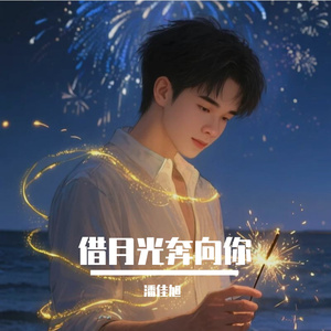 借月光奔向你