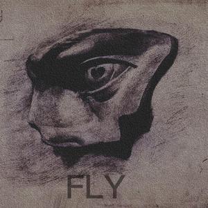 fly