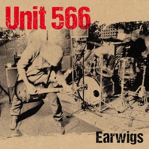 Earwig