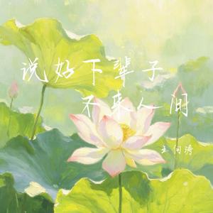 说好下辈子不来人间