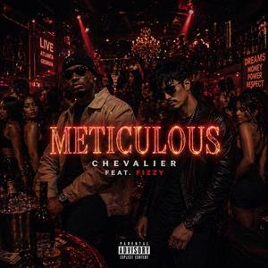 Meticulous (feat. Fizzyknockin)