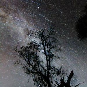 2023.12.15 双子座流星雨