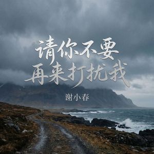 请你不要再来打扰我