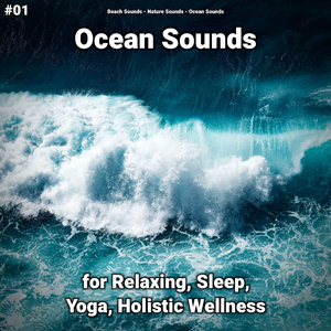 Ocean Sounds Pt. 53