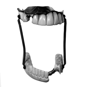 Incisors