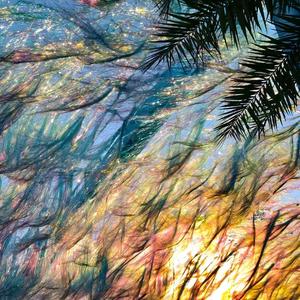 Nước bọt giai điệu(口水旋律V2)