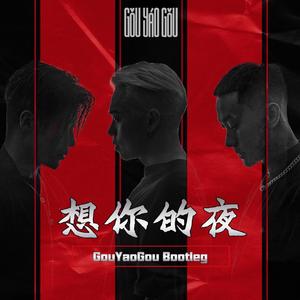 关喆-想你的夜 （GouYaoGou remix）
