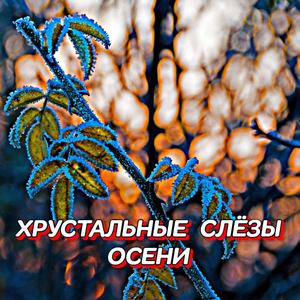 ХРУСТАЛЬНЫЕ СЛЁЗЫ ОСЕНИ