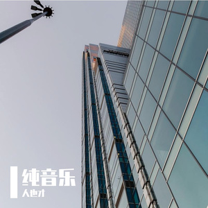 纯