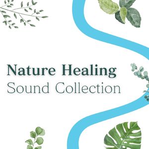 心マッサージ～癒しとやすらぎのハーモニー～