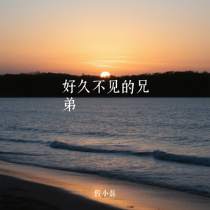 好久不见的兄弟