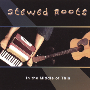 Llanwrtyd Wells and Ponies