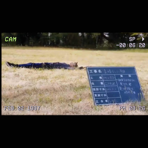 素晴らしい毎日