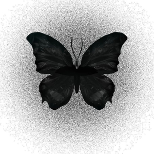 试着与自己和解