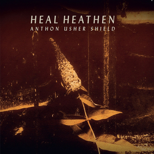 TraumMaschine (Original)