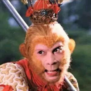 两只老虎