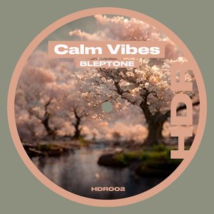 Calm Vibes (Radio Edit)