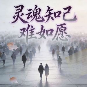 灵魂知己难如愿