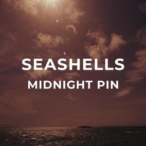 Seashells