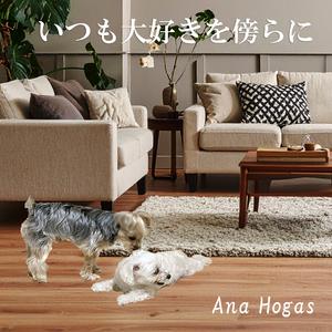 いつも大好きを傍らに