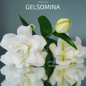 Gelsomina