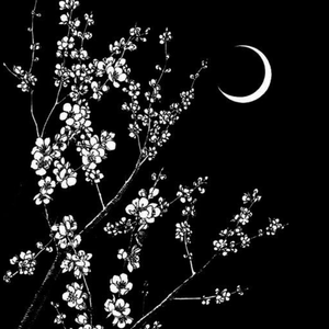 【FREE】Boombap Japanese Beat