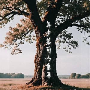 年少若可以重来