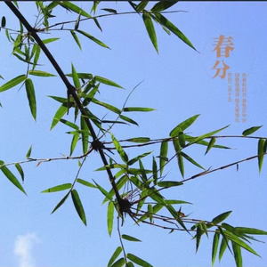 春晓