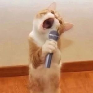 几分之几（翻自卢广仲）