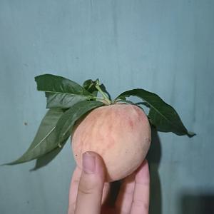 童话镇