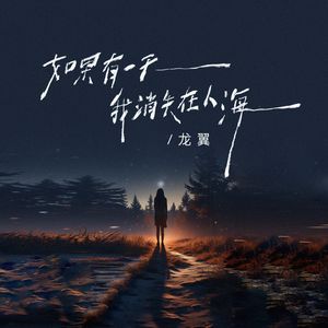 如果有一天我消失在人海（DJ浩然版）