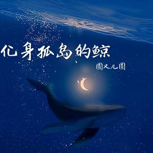 化身孤岛的鲸